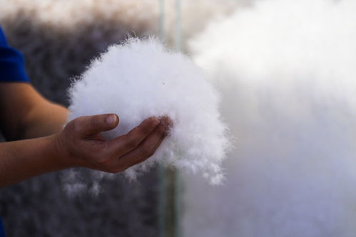 宝藏之城丨羽绒温暖寒冬，这座小城藏着冬日里的阳光